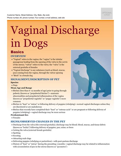 milky discharge from dog|White Discharge in Female Dog: What it Means & When to Worry